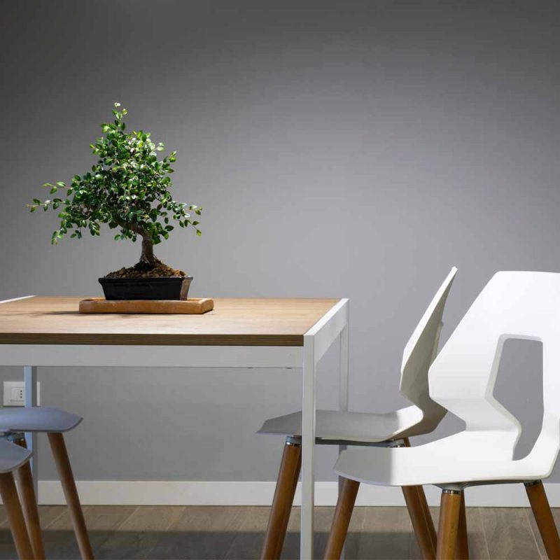 The Furniture Bargaining Council